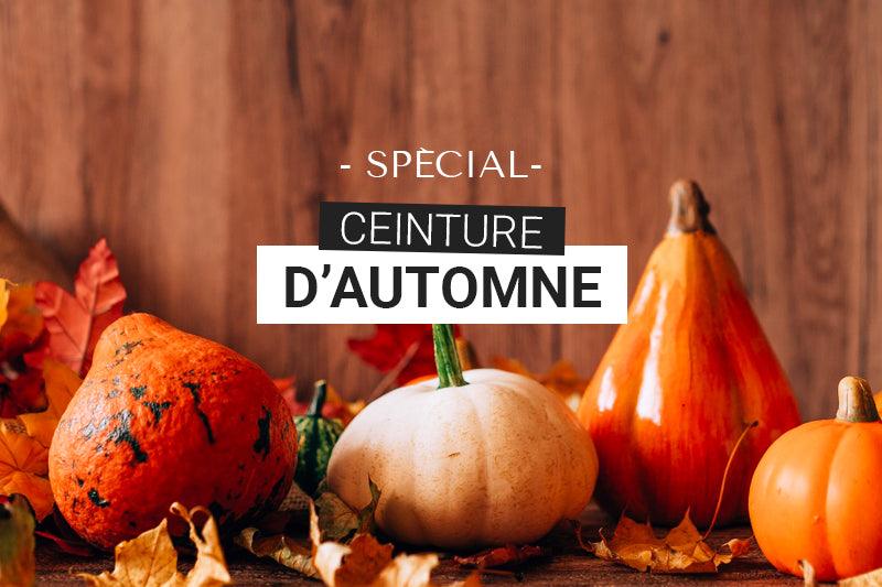 Collection Automne