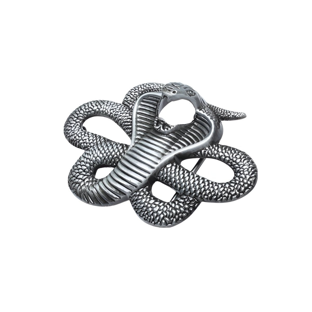 Boucle de ceinture Animal, cobra, modèle Chester - La Boutique de la Ceinture