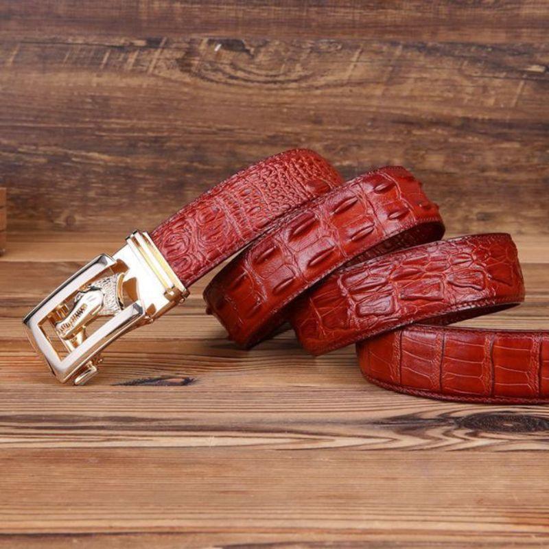 Ceinture cuir véritable boucle dorée crocodile pour homme, modèle Ravil - La Boutique de la Ceinture